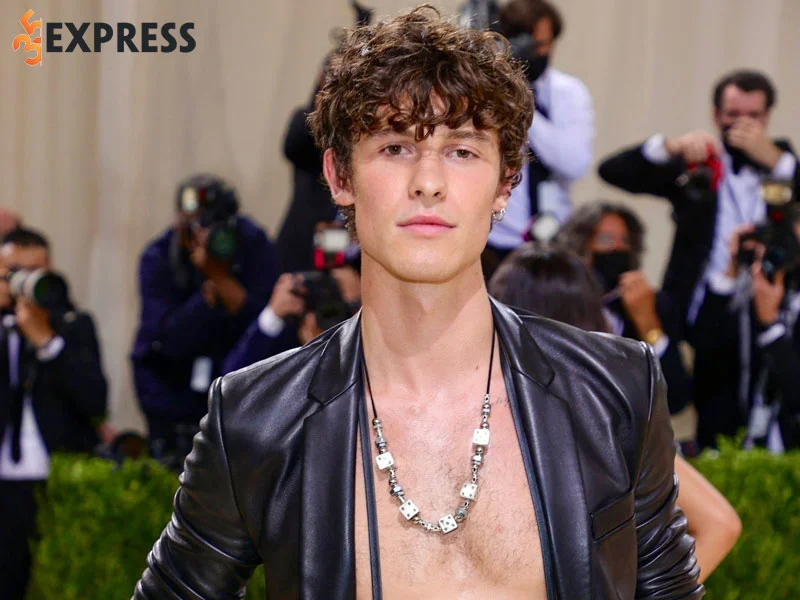 tom-tat-tieu-su-ly-lich-profile-cua-shawn-mendes-35express