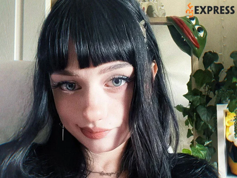 tom-tat-tieu-su-ly-lich-ve-niki-twitch-35express