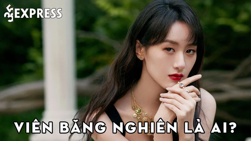 vien-bang-nghien-la-ai-35express
