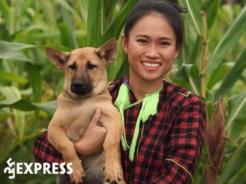 cai-duyen-tinh-co-cua-an-den-tro-thanh-tiktoker-va-youtuber-35express