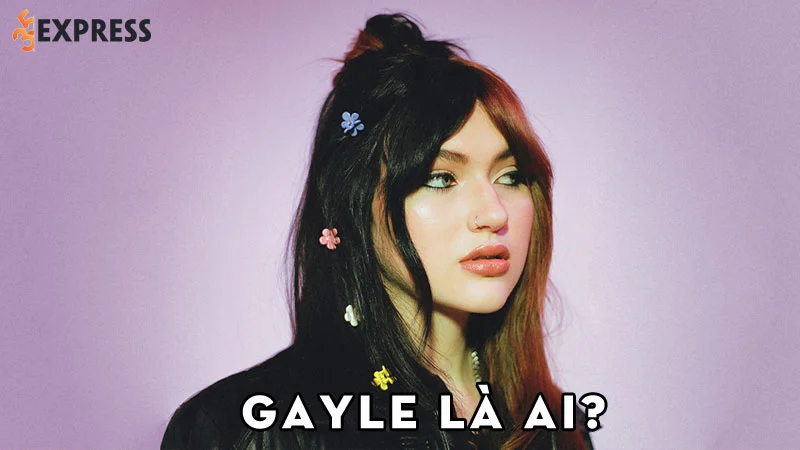 gayle-la-ai-35express