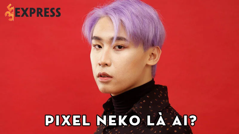 pixel-neko-la-ai-35express