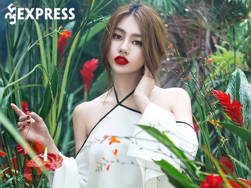 tom-tat-tieu-su-ly-lich-profile-cua-linh-chi-35express