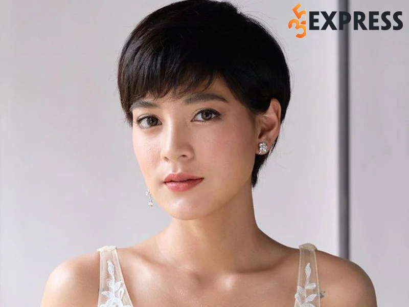 tom-tat-tieu-su-ly-lich-ve-apinya-sakuljaroensuk-35express