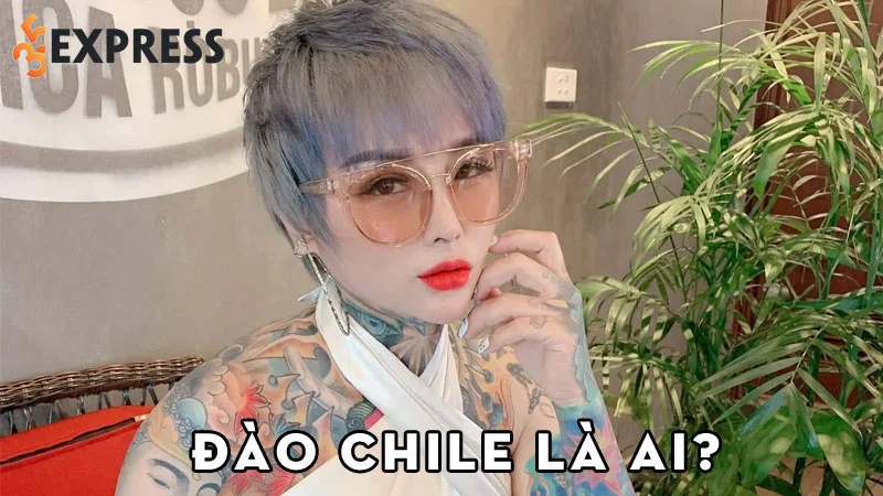 dao-chile-la-ai-35express