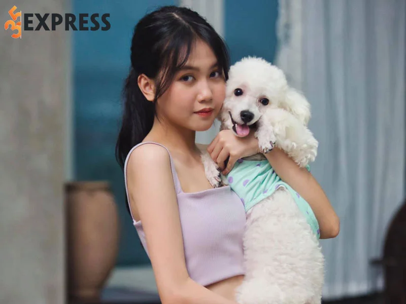 hanh-trinh-theo-duoi-dam-me-ca-hat-cua-bao-an-5-35express