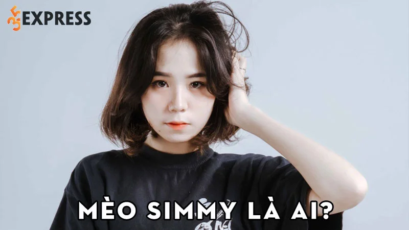 meo-simmy-la-ai-35express