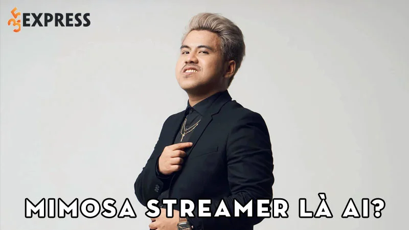 mimosa-streamer-la-ai-35express