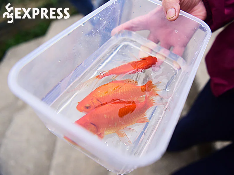 nhung-dieu-kieng-ki-khi-cung-ong-cong-ong-tao-35express
