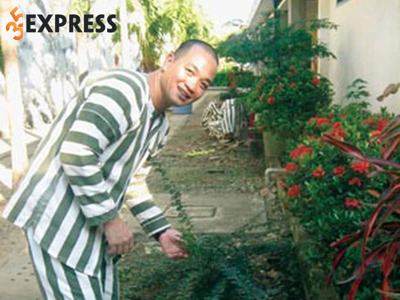 nhung-su-that-ve-trum-giang-ho-hai-banh-35express