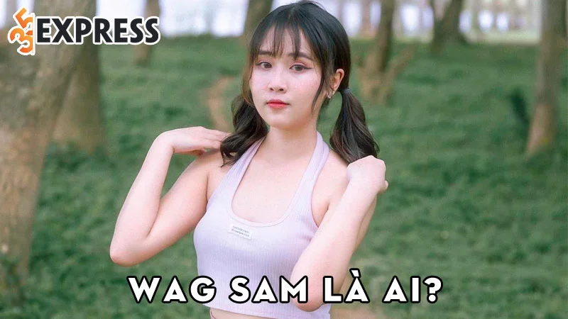 streamer-wag-sam-la-ai-35express