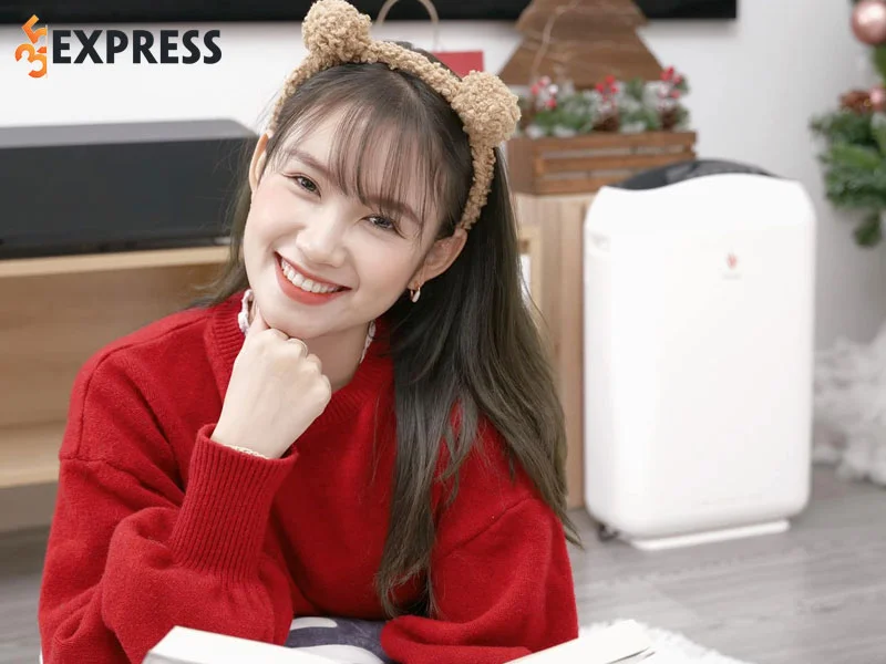 tieu-su-ly-lich-cua-phuong-anh-payo-35express