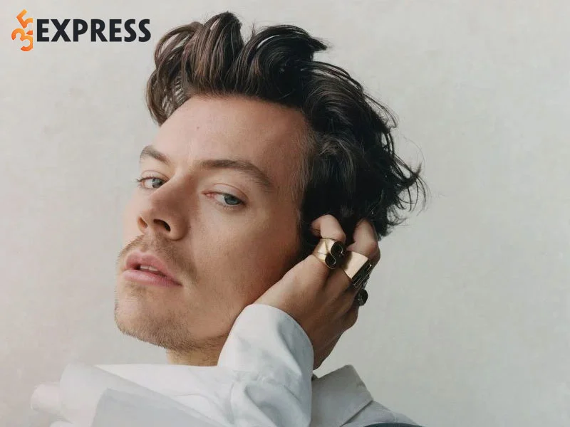 tom-tat-chi-tiet-tieu-su-thong-tin-ly-lich-cua-harry-styles-35express
