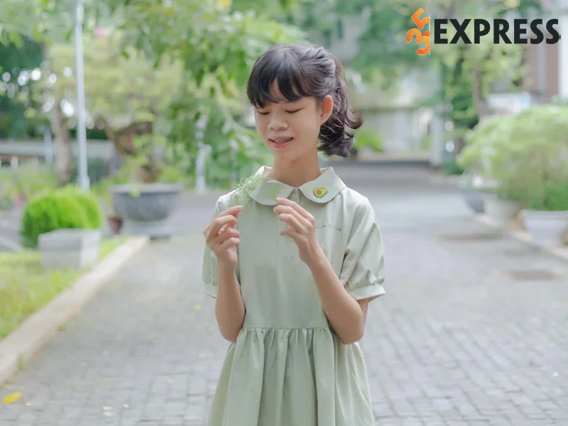 tom-tat-tieu-su-thong-tin-ly-lich-cua-nga-bento-35express