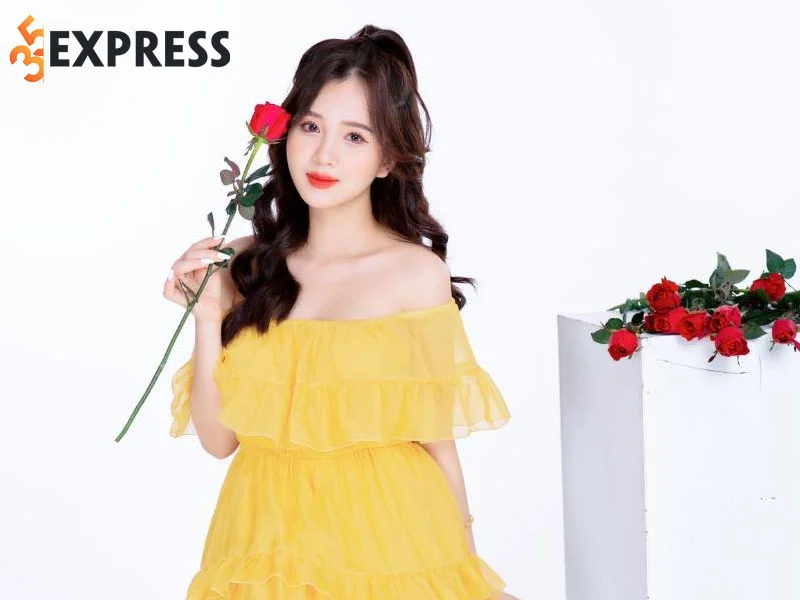 tom-tat-tieu-su-thong-tin-ly-lich-cua-nguyen-ngoc-anh-35express