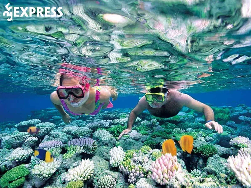 4-trai-nghiem-ly-thu-nhat-dinh-phai-thu-khi-den-phu-quoc-kham-pha-the-gioi-san-ho-ky-thu-35express