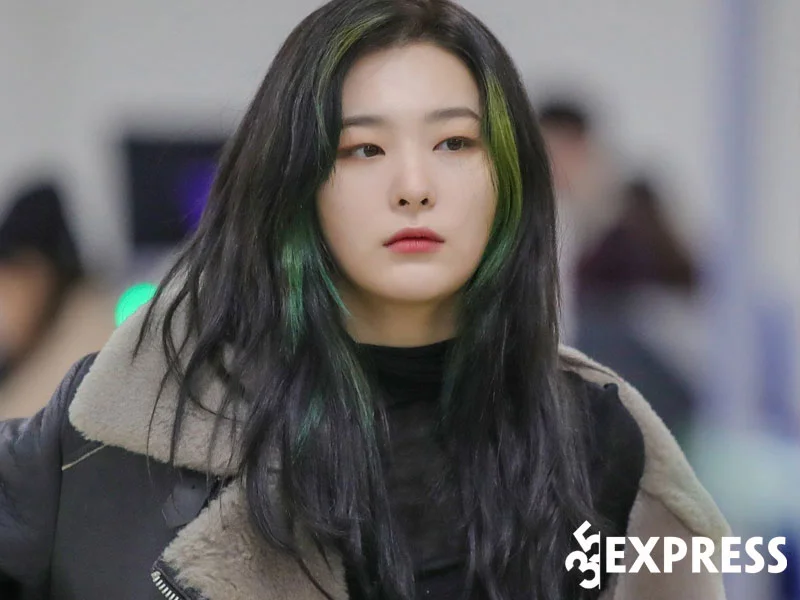 tom-tat-tieu-su-profile-cua-ca-si-seulgi-35express