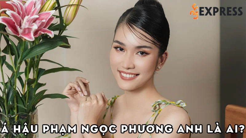 a-hau-pham-ngoc-phuong-anh-la-ai-35express