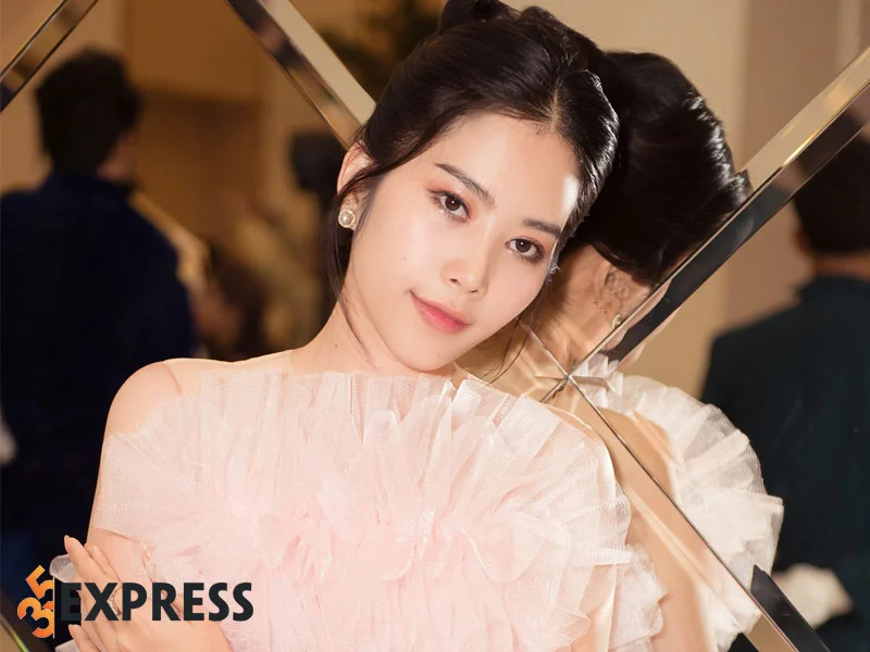 hanh-trinh-su-nghiep-cua-nguoi-mau-nam-anh-1-35express