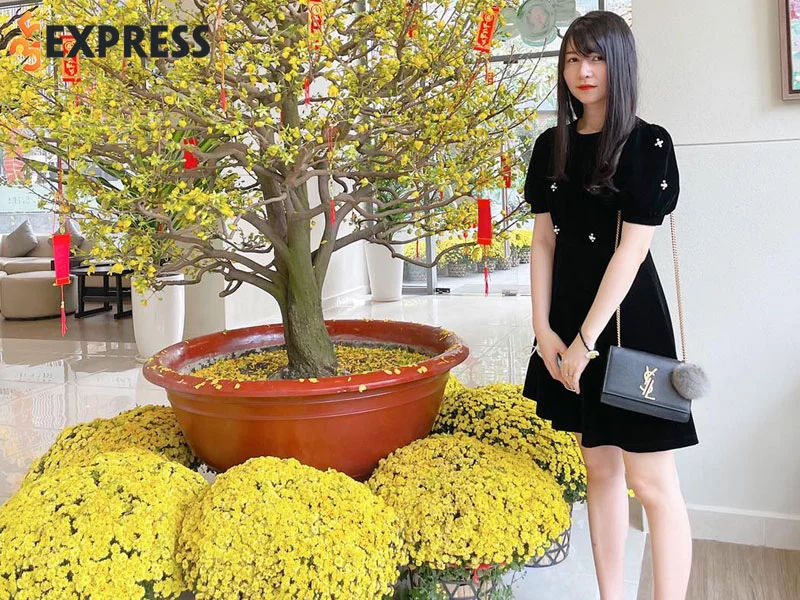 su-nghiep-cua-nghe-si-piano-an-coong-35express