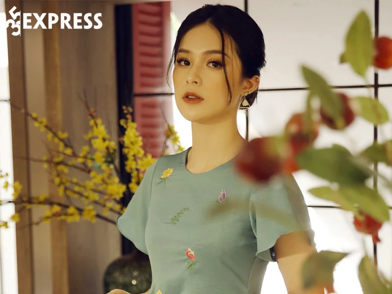 tom-tat-tieu-su-thong-tin-ly-lich-cua-ha-vi-35express
