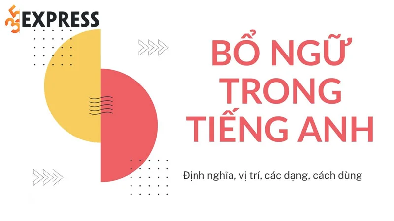 bo-ngu-trong-tieng-anh-la-gi-35express