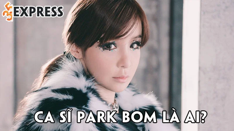 ca-si-park-bom-la-ai-35express
