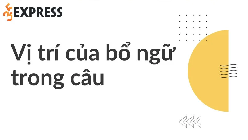 cach-su-dung-bo-ngu-trong-tieng-anh-35express