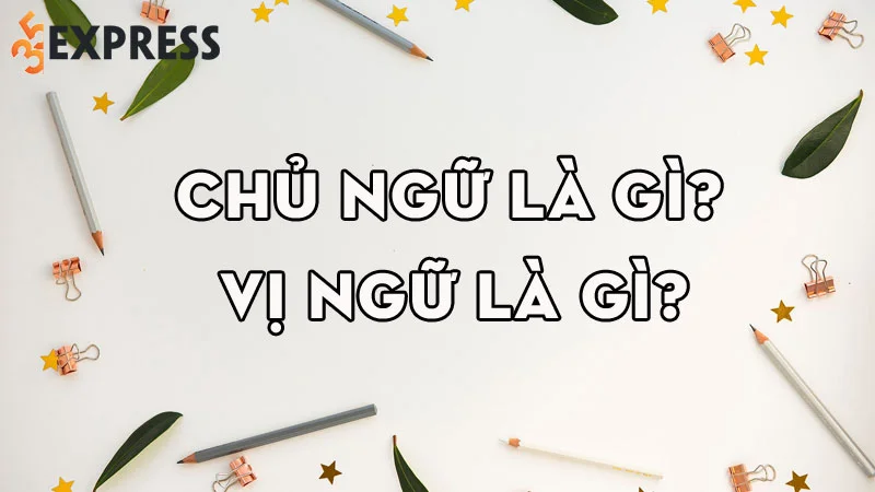 chu-ngu-la-gi-vi-ngu-la-gi-cach-phan-biet-chu-ngu-va-vi-ngu-chuan-35express