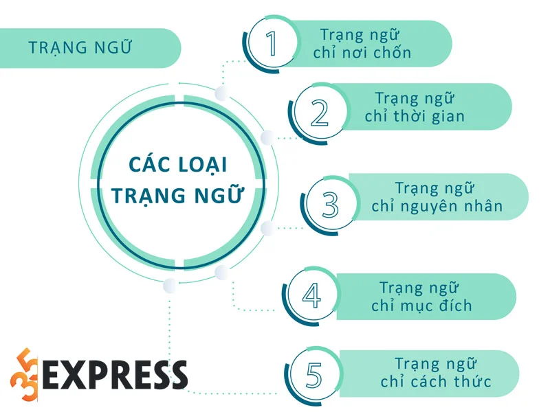 co-bao-nhieu-loai-trang-ngu-35express
