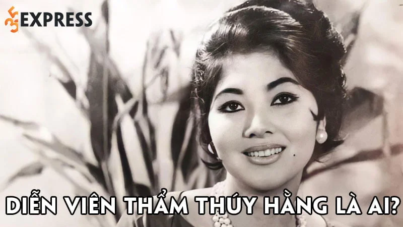dien-vien-tham-thuy-hang-la-ai-35express