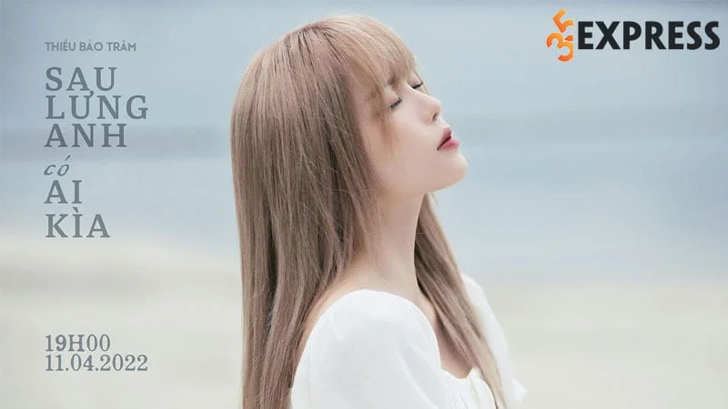 loi-bai-hat-lyrics-sau-lung-anh-co-ai-kia-thieu-bao-tram-35express