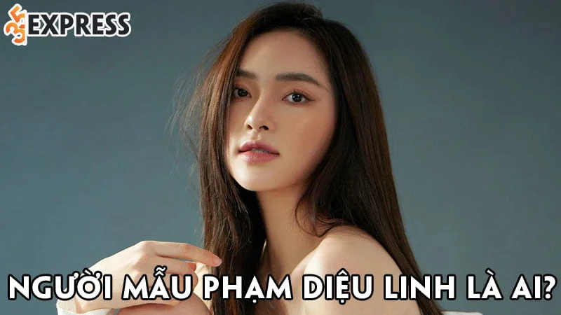 nguoi-mau-pham-dieu-linh-la-ai-35express