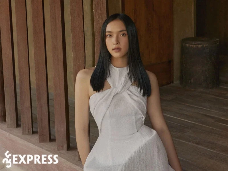 nhung-hinh-anh-sang-xin-min-cua-pham-dieu-linh-1-35express