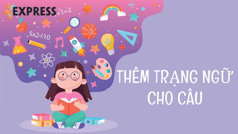 tac-dung-cua-viec-them-trang-ngu-35express