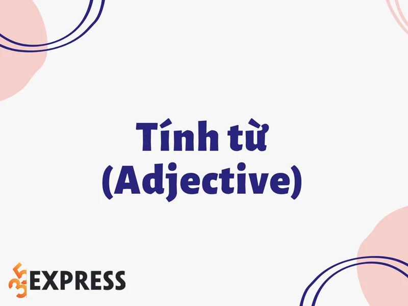 tinh-tu-la-gi-1-35express