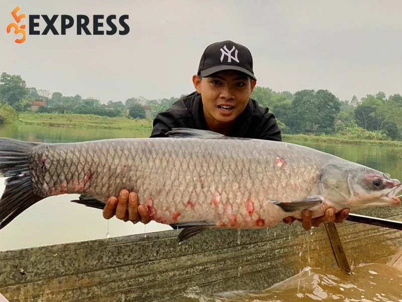 tom-tat-tieu-su-thong-tin-ly-lich-cua-lk-hoa-35express