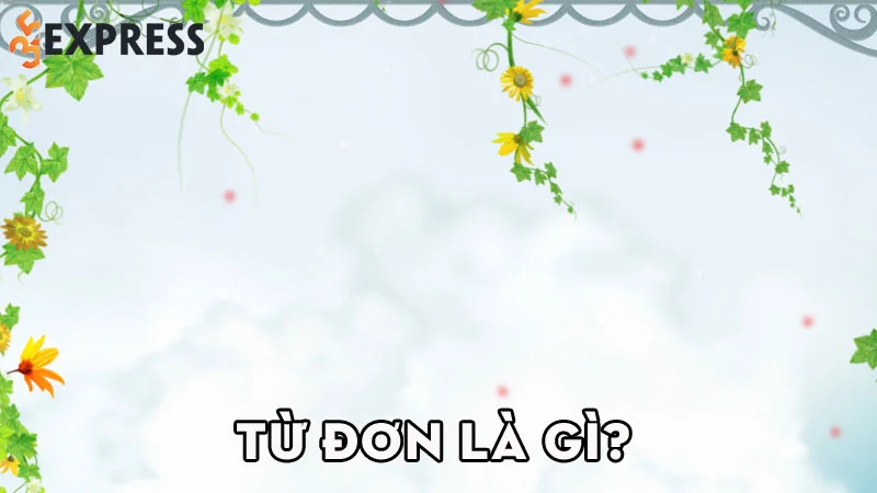 tu-don-la-gi-35express
