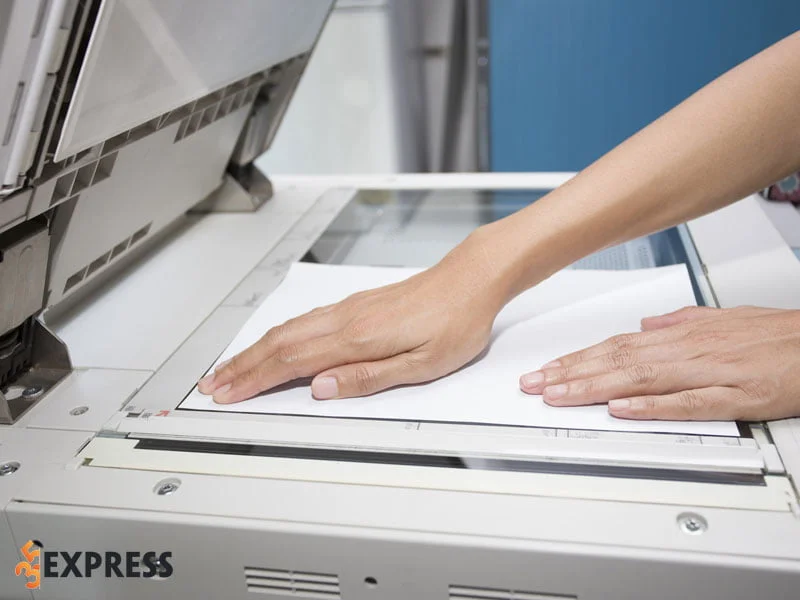 in-hoa-hong-dich-vu-photocopy-tai-ha-noi-chat-luong-35express