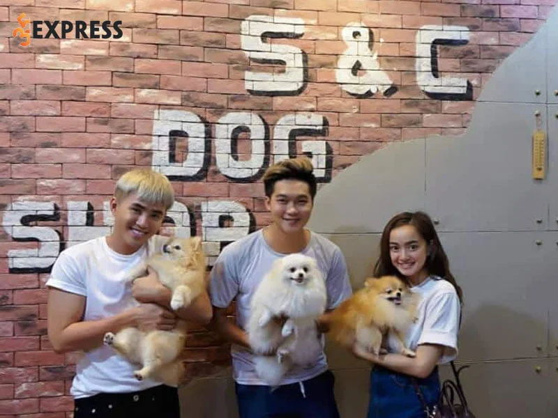 sc-dogshop-35express