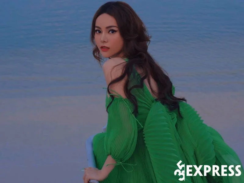 tom-tat-tieu-su-ly-lich-ve-ca-si-do-kim-thanh-35express