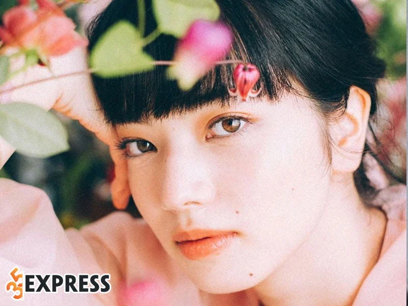 tom-tat-tieu-su-ly-lich-ve-nana-komatsu-35express