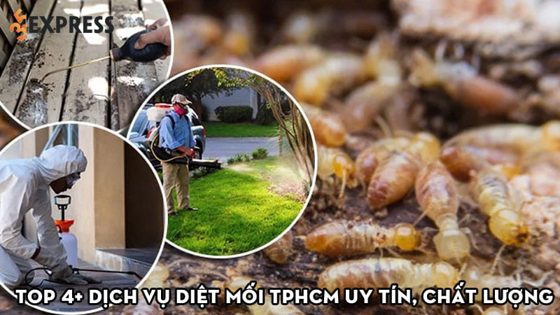 top-4-dich-vu-diet-moi-tphcm-uy-tin-chat-luong-35express