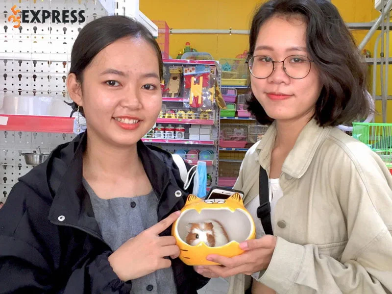 petxinh-35express