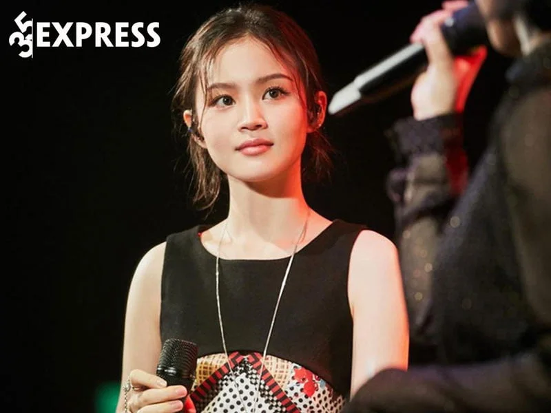 su-nghiep-ca-hat-cua-lee-hi-2-35express