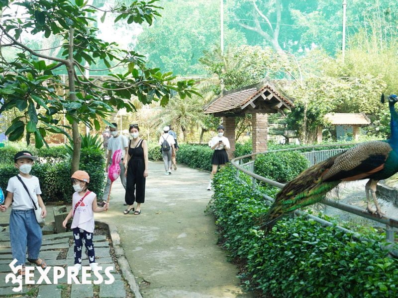 thao-cam-vien-dia-diem-check-in-sai-gon-day-thu-vi-35express