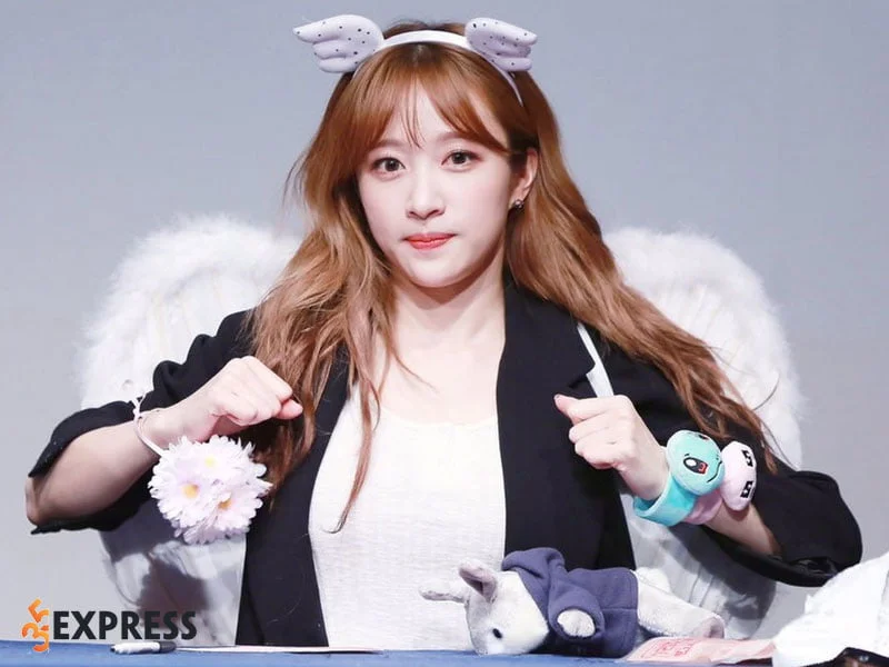 tom-tat-tieu-su-ly-lich-ve-hani-exid-35express