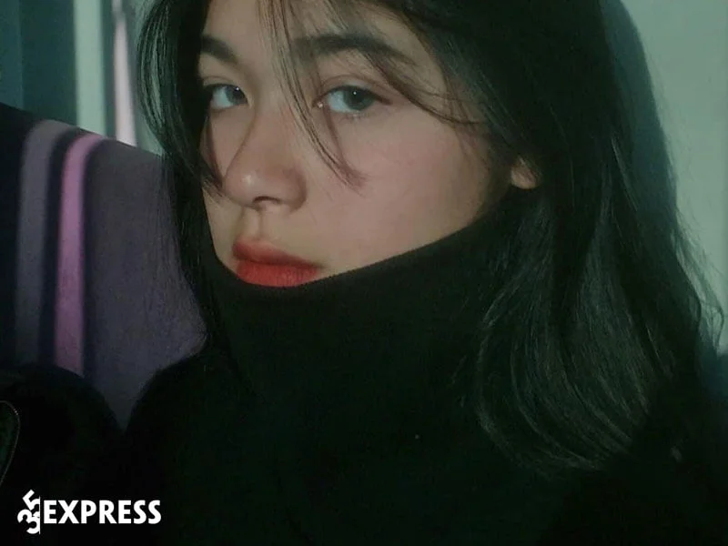 tom-tat-tieu-su-ly-lich-ve-vo-hoai-anh-35express