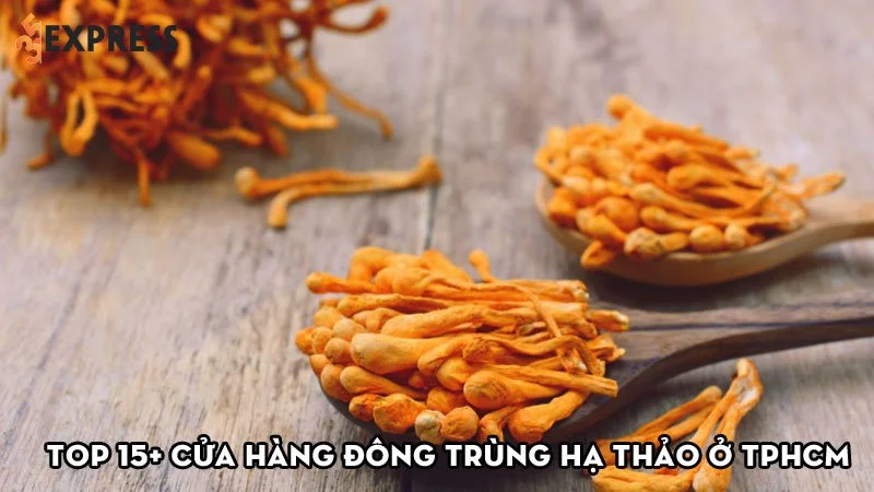 top-15-cua-hang-dong-trung-ha-thao-o-tphcm-uy-tin-35express
