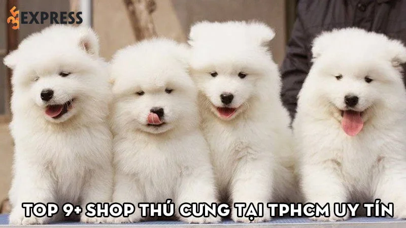 top-9-shop-thu-cung-tai-tphcm-uy-tin-duoc-yeu-thich-nhat-35express
